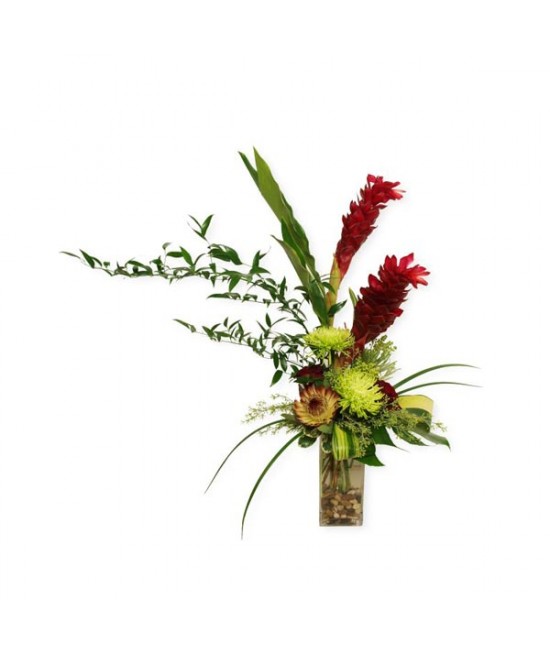 L'arrangement touche d'exotique